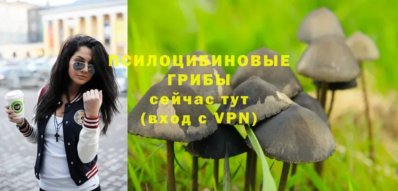 Галлюциногенные грибы Magic Shrooms  Семикаракорск 